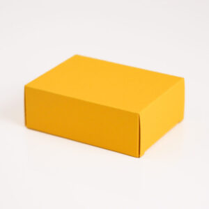 Tuck End Box (Back Slit Lock) Template – Custom Size Generator | SVG DXF PDF PNG